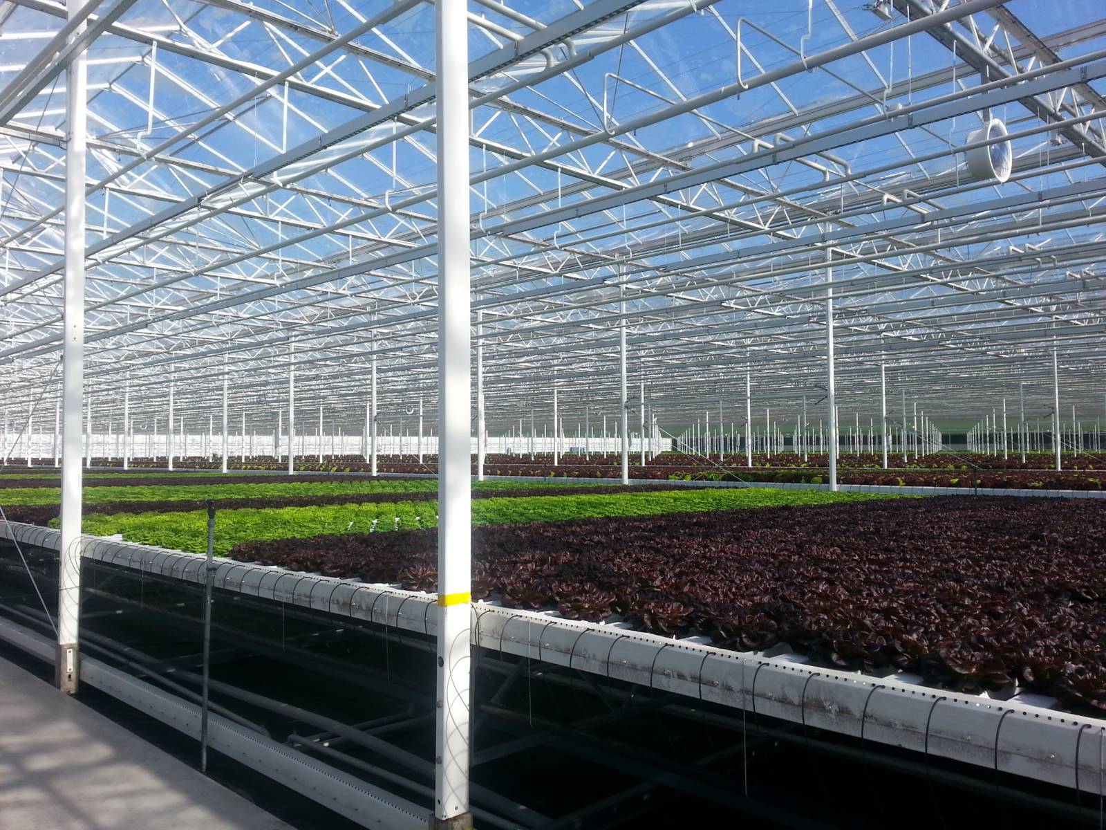 Project Glasmij Siberia in the Netherlands