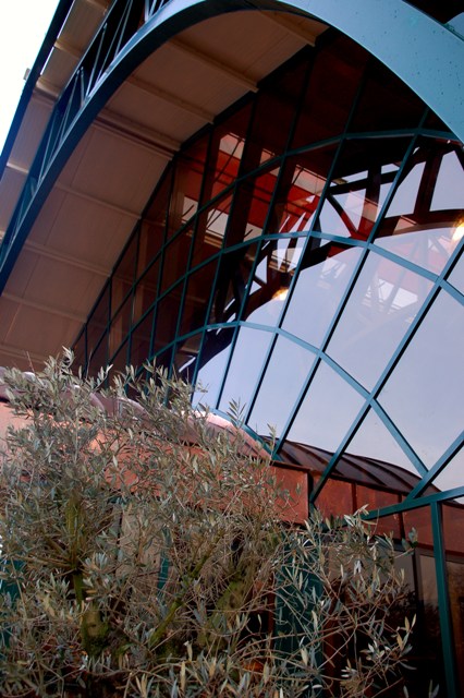 Glasmij glass Oirschot garden centre