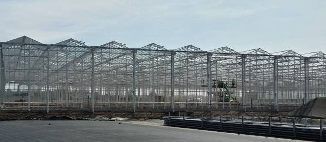 Glasmij Venlo B.V. - 14.000 m2 in the South of the Netherlands - I