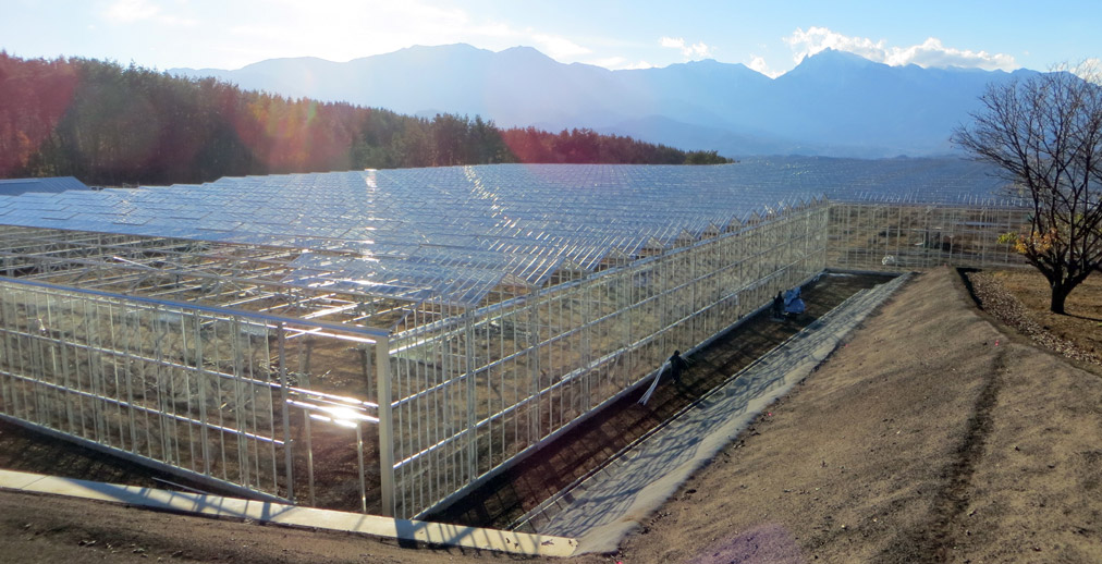 Glasmij Venlo B.V. - Mount Fuji - II