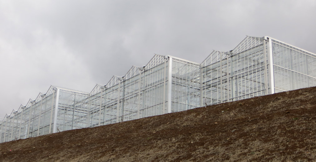 Glasmij Venlo B.V. - Mount Fuji - IV