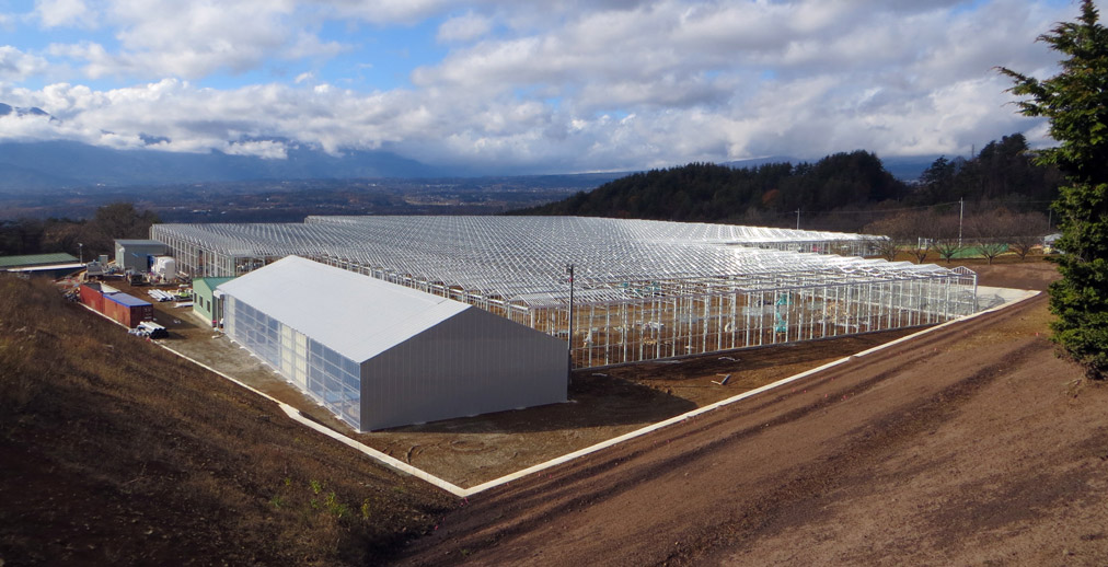 Glasmij Venlo B.V. - Mount Fuji - VI