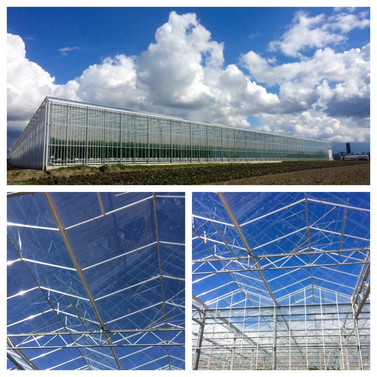 Project tuinbouwglas North Rhine-Westphalia, Germany