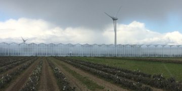 Tuinbouwglas in North Rhine-Westphalia